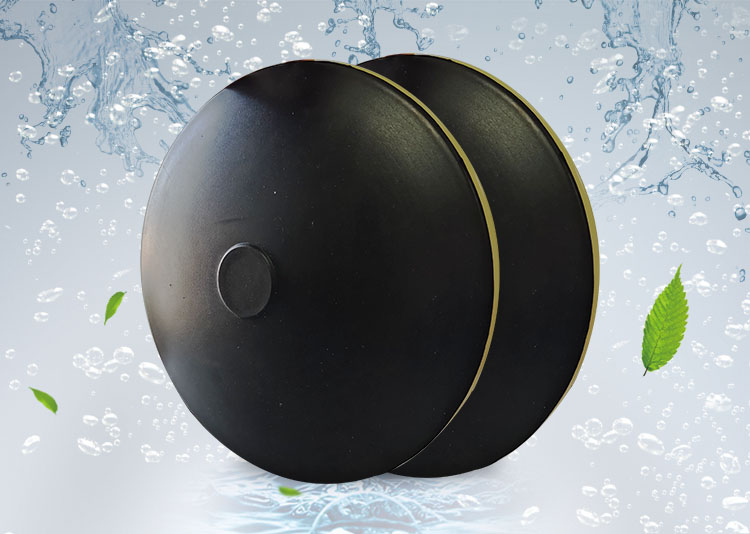 BPB薄(bao)盤(pan)型盤式(shi)曝氣器